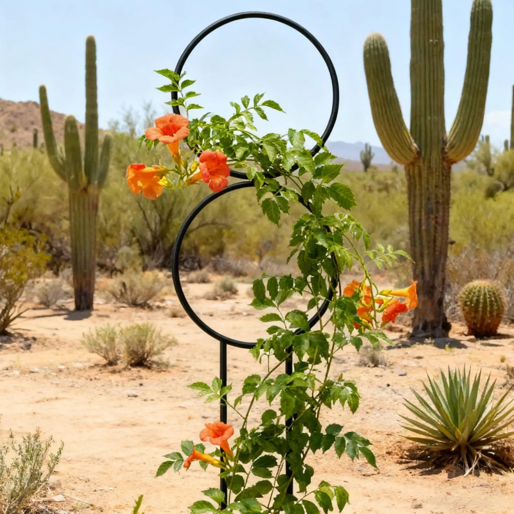 Metal Plant Trellis – Indoor & Outdoor Vine Climbing Support