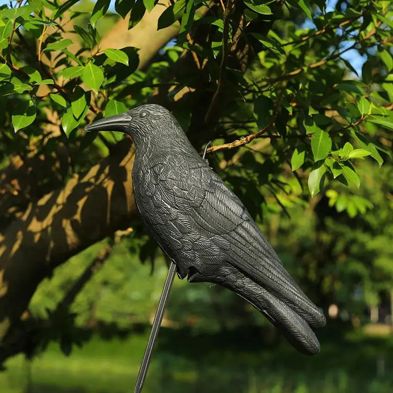 Realistic Black Crow Raven Decoy – Garden Bird Scare Ornament