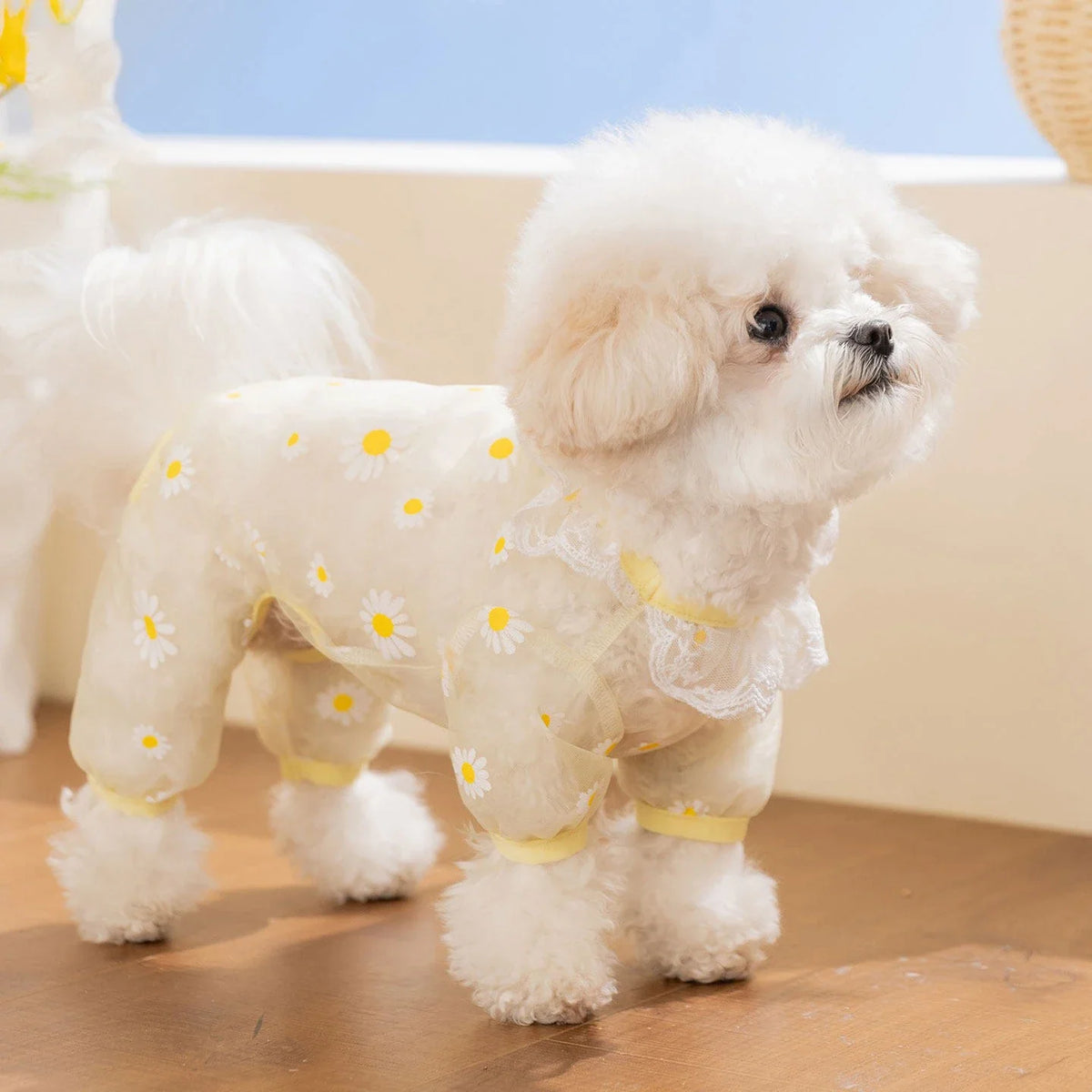 Puppy Breathable Mesh Jumpsuit – Insect-Proof Dog Clothes XS–XL