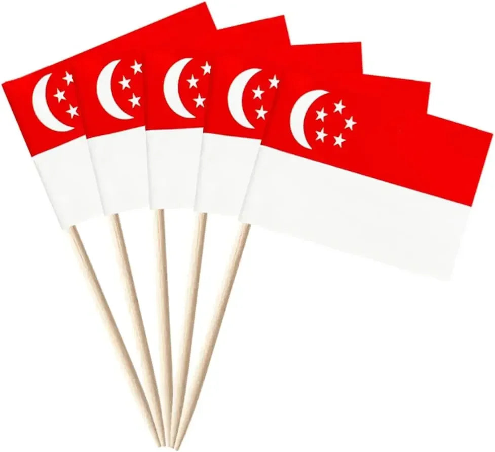 Mexico Flag Toothpicks 100pk – Mini Food Picks & Party Toppers