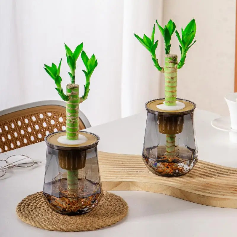 Mini Self-Watering Planter Pot – Transparent Plastic Vase Décor