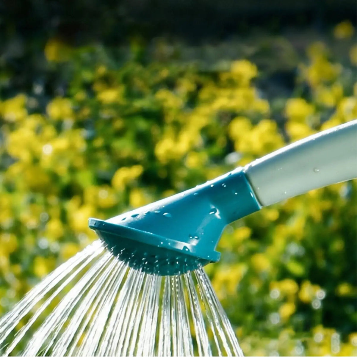 Watering Can Replacement Rose Head | Garden Sprinkler Nozzle