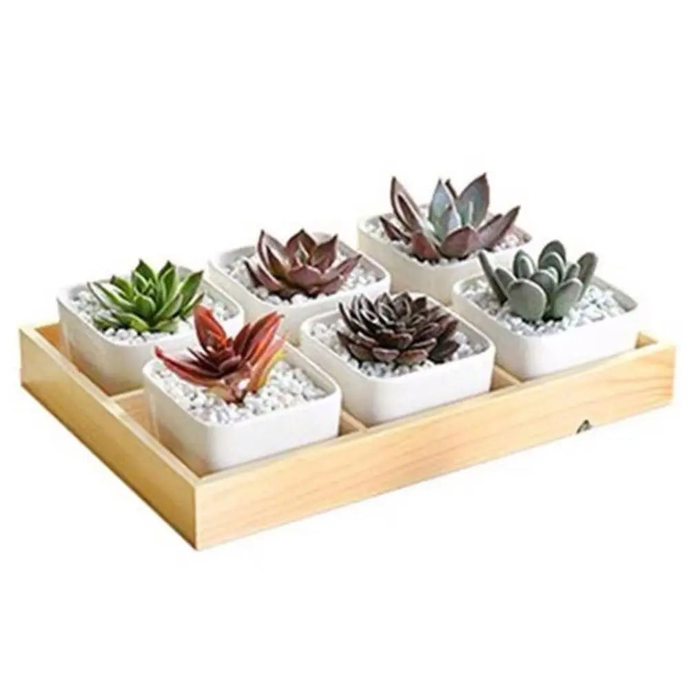Multi-Grid Wood Succulent Tray & Desktop Organizer Holder