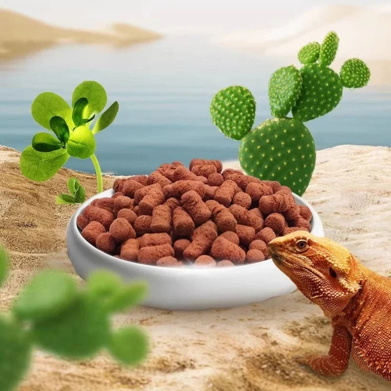 Maned Lizard Compound Feed 350g – Insect Mixed Reptile Food