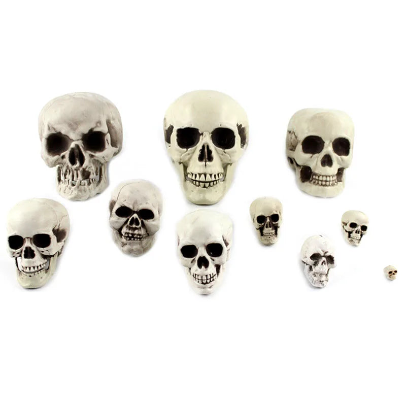 Plastic Skull Head Figurine – Halloween & Party Décor Statue