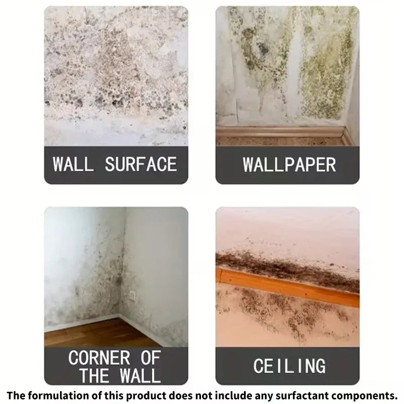 Wall Mold Remover Spray – Anti-Mold Household Cleaner