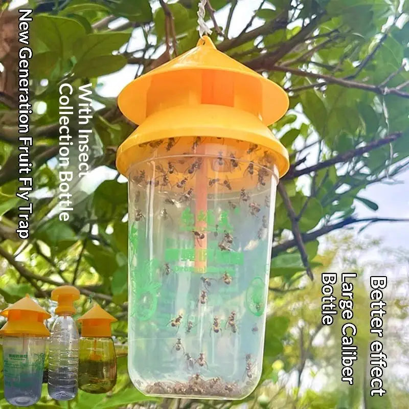 Reusable Fruit Fly Trap with 30-Day Slow-Release Lure | JETTING