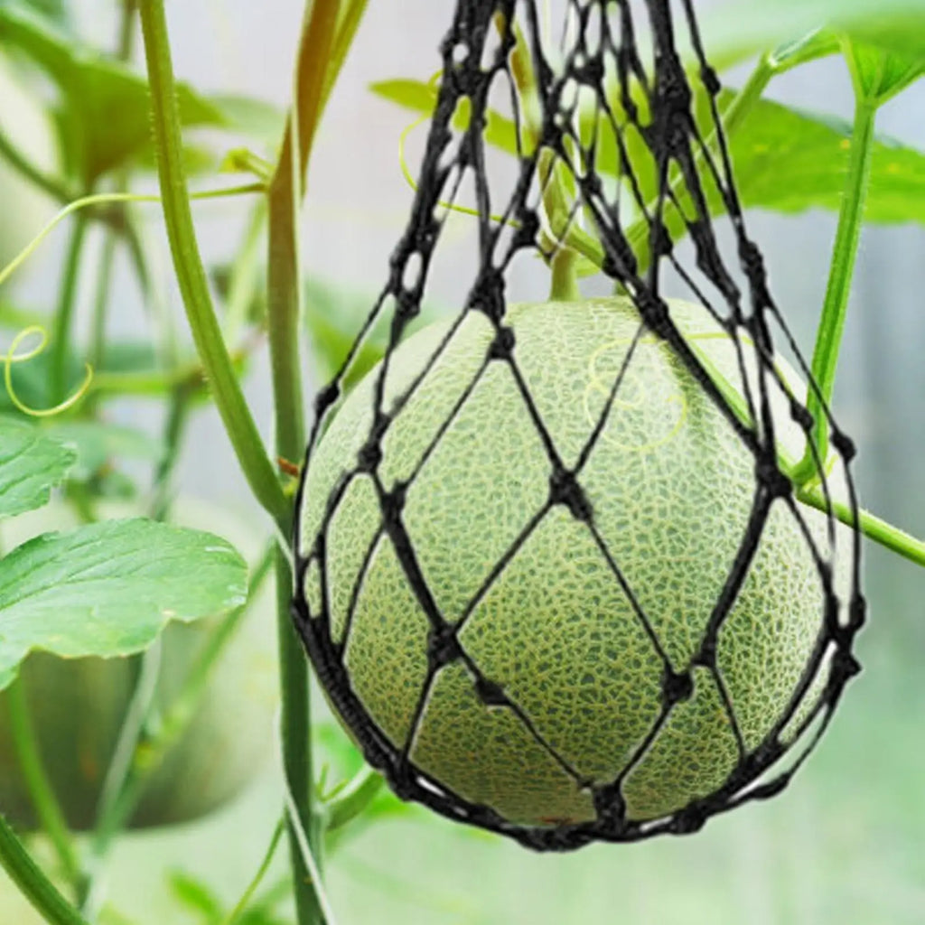10-Pack Watermelon Hammock Nets – Vertical Garden Fruit Sling Bags
