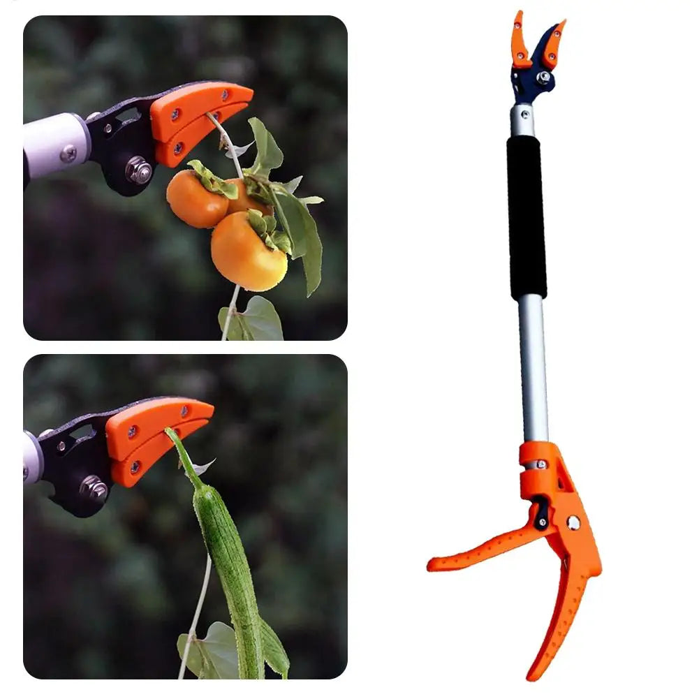 0.6M Long Reach Fruit Picker & Pruning Shears | Garden Tool