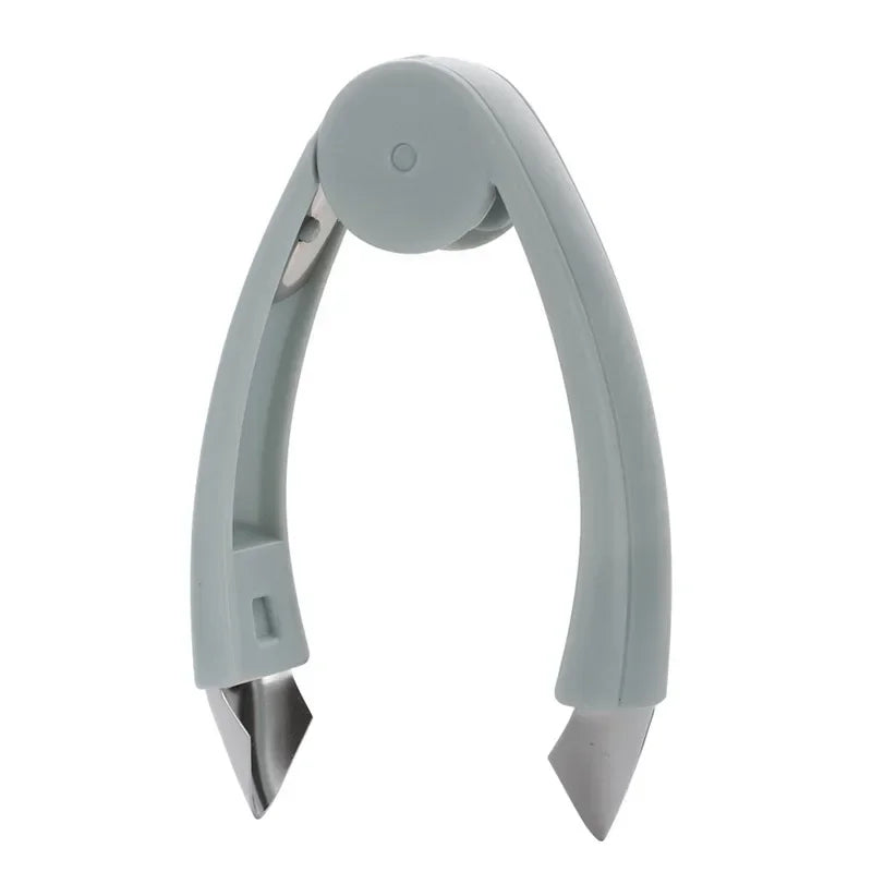 Stainless Steel Pineapple Eye Peeler & Strawberry Remover