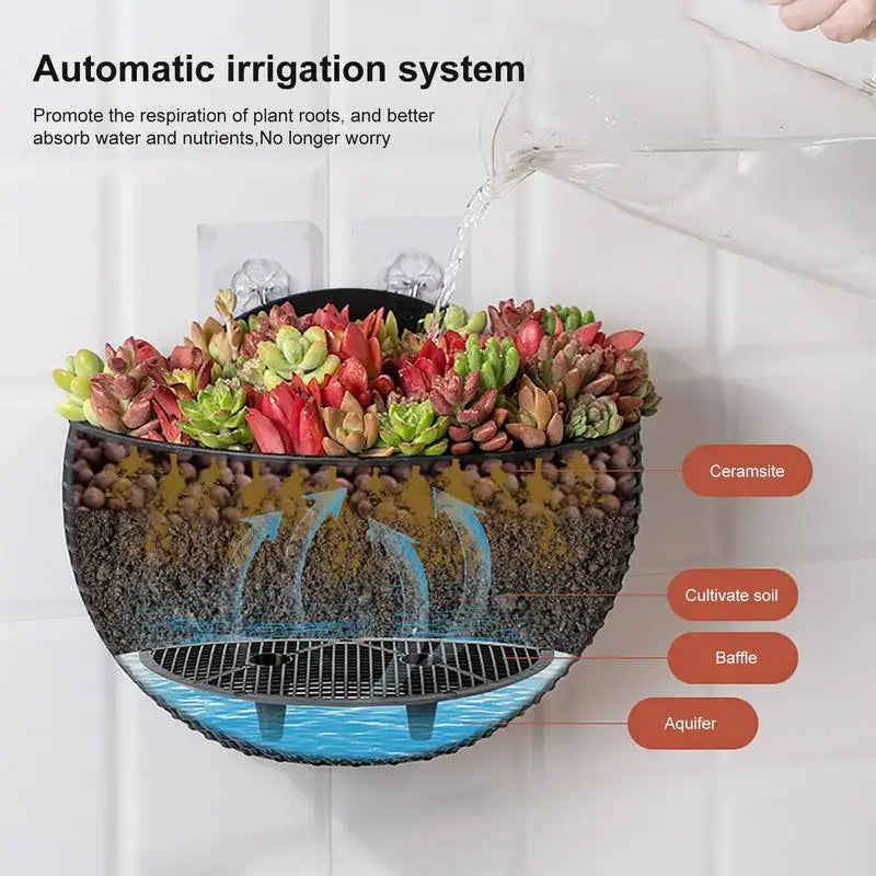 Semicircular Wall-Mounted Hanging Flower Planter | Home Decor