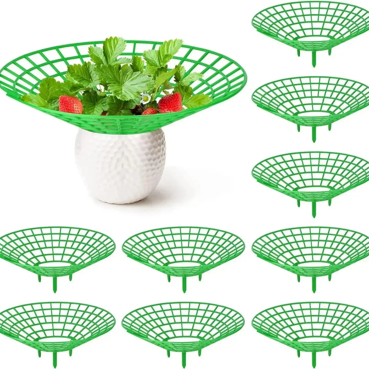 Strawberry Plant Supports 3-Leg Growing Racks – 5/10/20 Pcs
