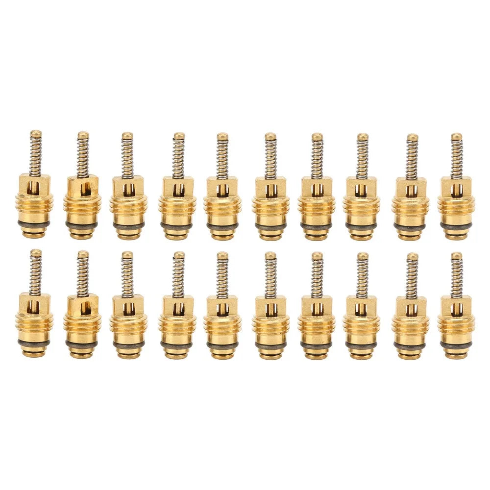 20PCS Car A/C Schrader Valve Core Set – Multi-Size Universal Kit