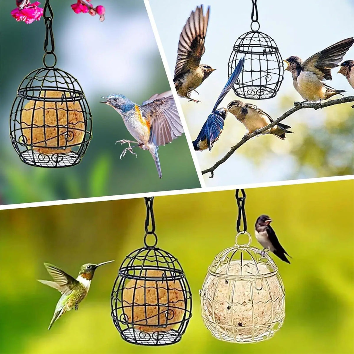 Squirrel-Proof Metal Suet Ball Feeder – Hangable Wild Bird Feeder
