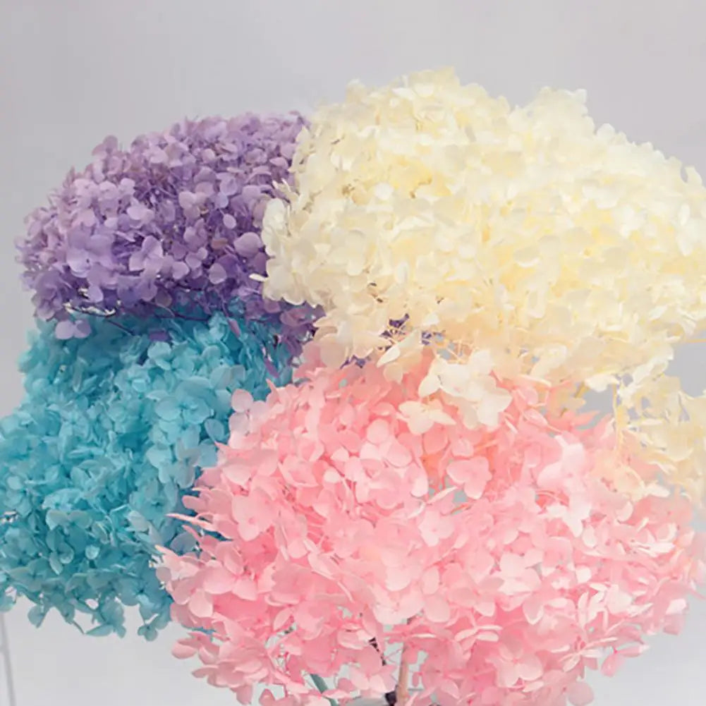 20g Dried Hydrangea Flowers – Resin, Jewelry & DIY Crafts