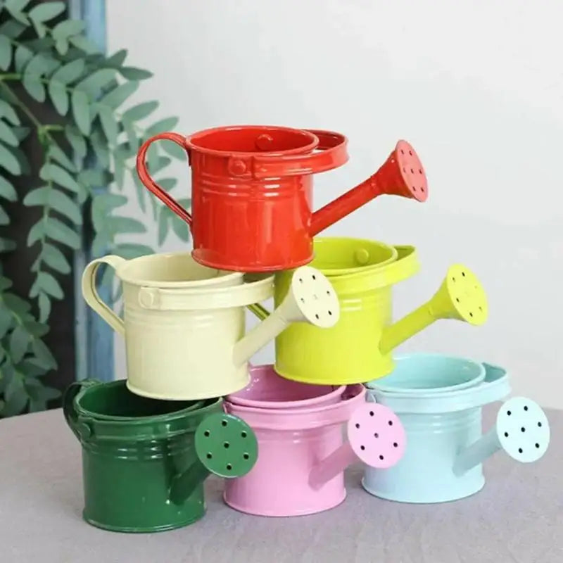 Metal Galvanized Watering Can for Garden – Anti-Rust Iron Pot