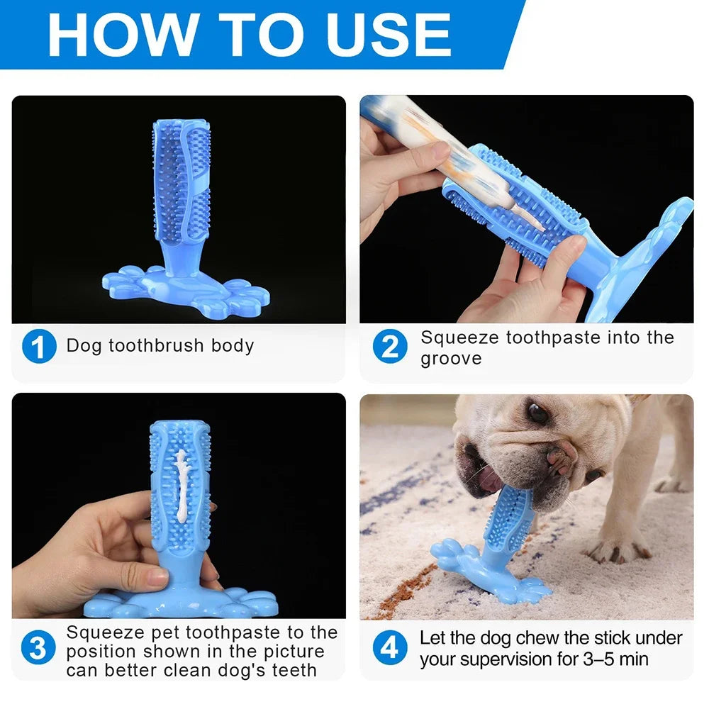 Dog Cactus Chew Toy – Treat Dispenser & Teeth Cleaner