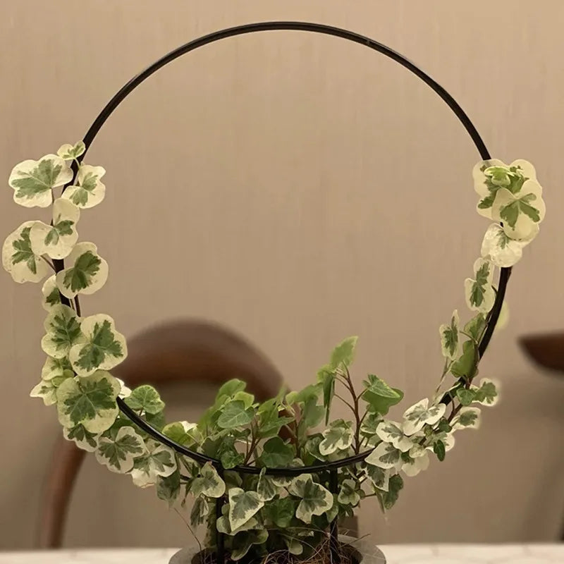Iron Garden Trellis – Black Rust-Proof Climbing Plant Support