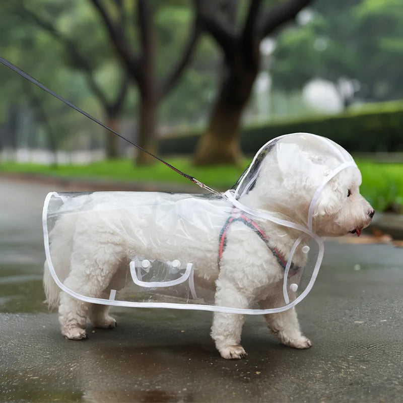 Transparent Waterproof Dog Raincoat – 7 Sizes | Nixie