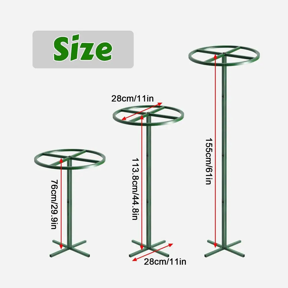 Adjustable Dragon Fruit Trellis | Vertical Metal Plant Support