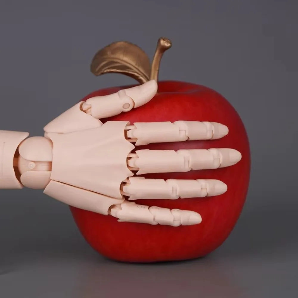 1:2 Scale Articulated Human Hand Model – Posable Fingers