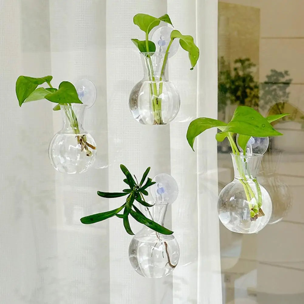 Window Propagation Station Plant Bulb Vase with Suction Cup