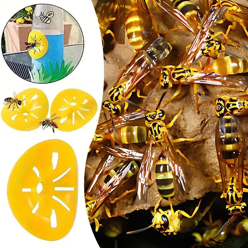 Yellow Wasp Trap Funnel One-Way Entry 5/10/20pcs | Pest Control