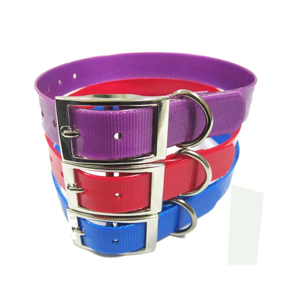 Waterproof PU Dog Collar – Odor & Dirt Resistant | Easy Clean