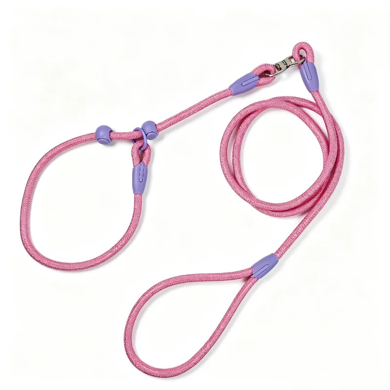 Tangle-Free Nylon Dog Training Leash P-Chain Collar 160cm