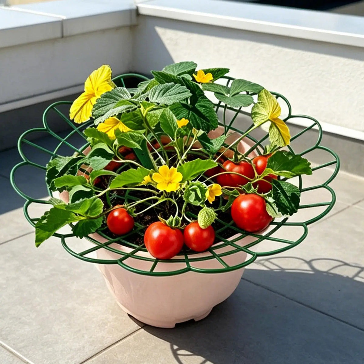 Strawberry Plant Stand Support Frame – Patio, Balcony & Yard