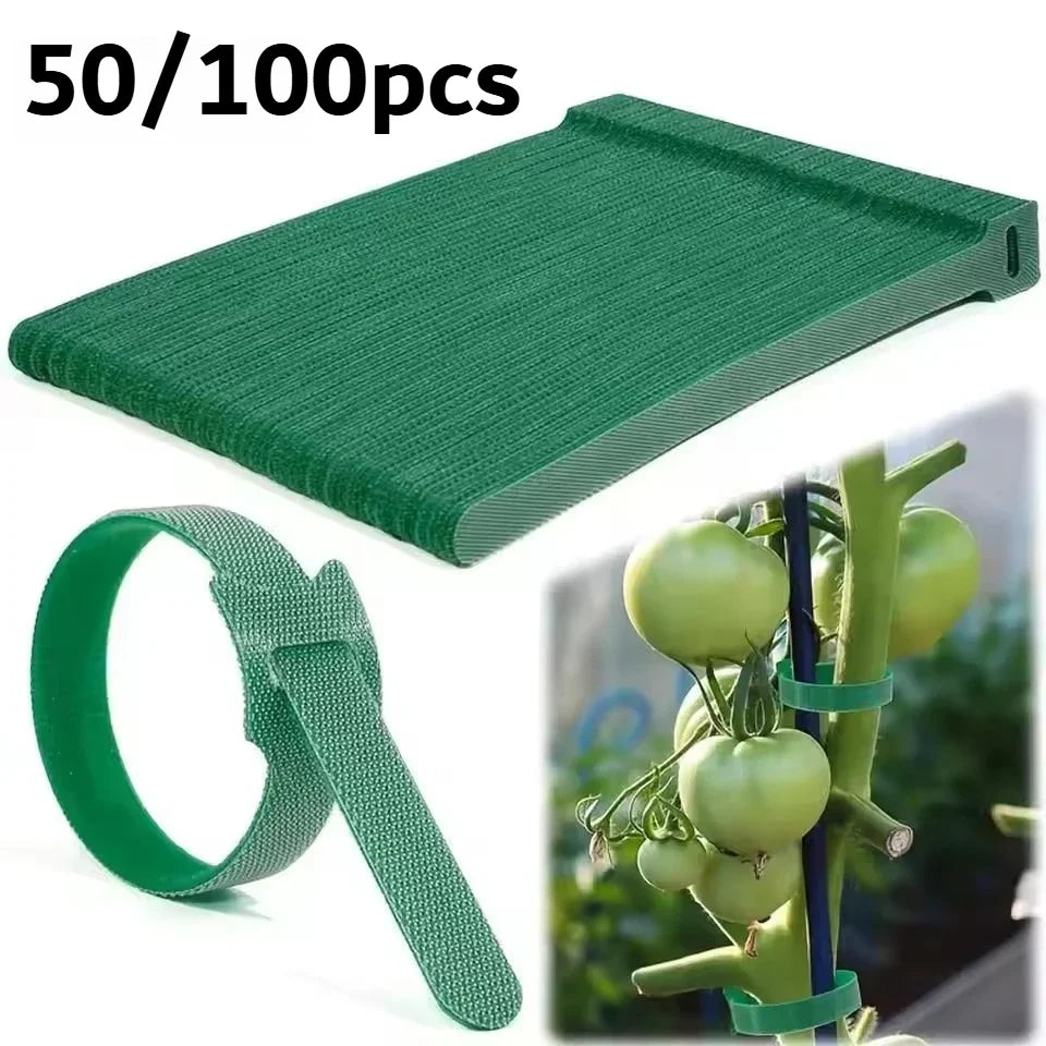 Nylon Plant Ties Adjustable Non-Slip Loop Fasteners 50/100 Pack