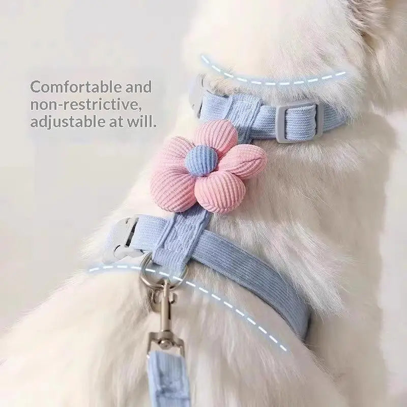 Adjustable Cat Harness & Leash Set – Breathable Mesh Pet Vest