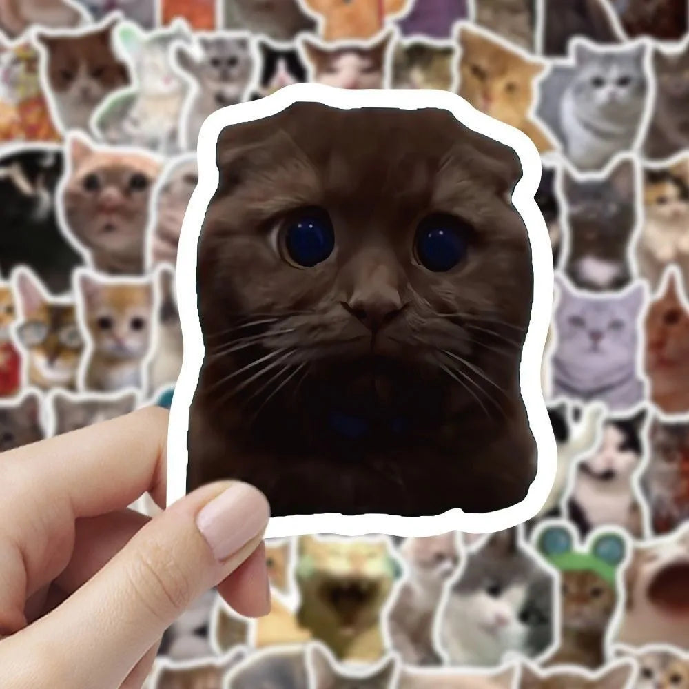 100-Pack Waterproof Meme Graffiti Stickers – DIY Decals