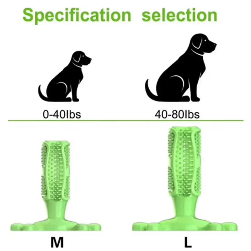 Dog Cactus Chew Toy – Treat Dispenser & Teeth Cleaner
