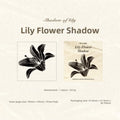Wooden Rubber Craft Stamps – Flower Butterfly Leaves Designs