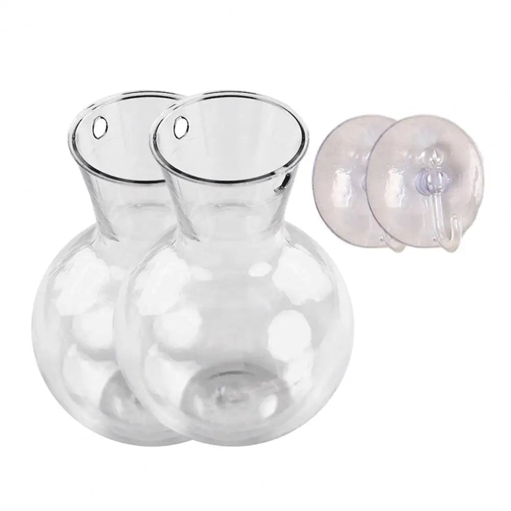 Window Propagation Station Plant Bulb Vase with Suction Cup