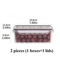 Airtight Bento Lunch Box Food Storage Container – Microwave Safe