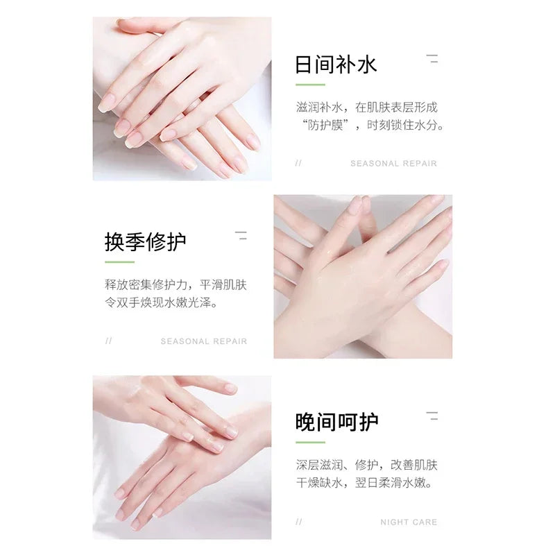 Avocado Hand Cream – Moisturizing, Smoothing & Non-Greasy 30g