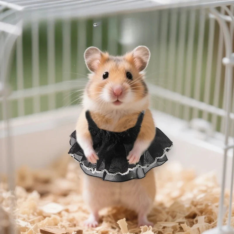 Hamster Clothes & Skirts – All-Season Small Pet Outfits