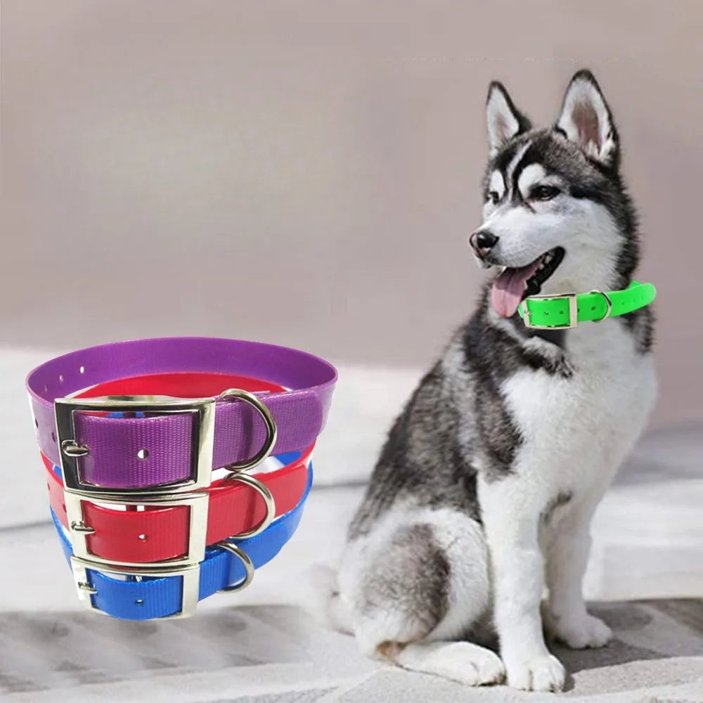 Waterproof PU Dog Collar – Odor & Dirt Resistant | Easy Clean