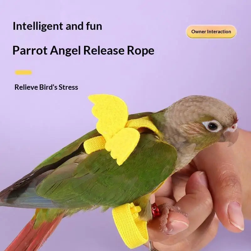 Parrot Harness & Leash Set – Budgie Cockatiel Outdoor Training