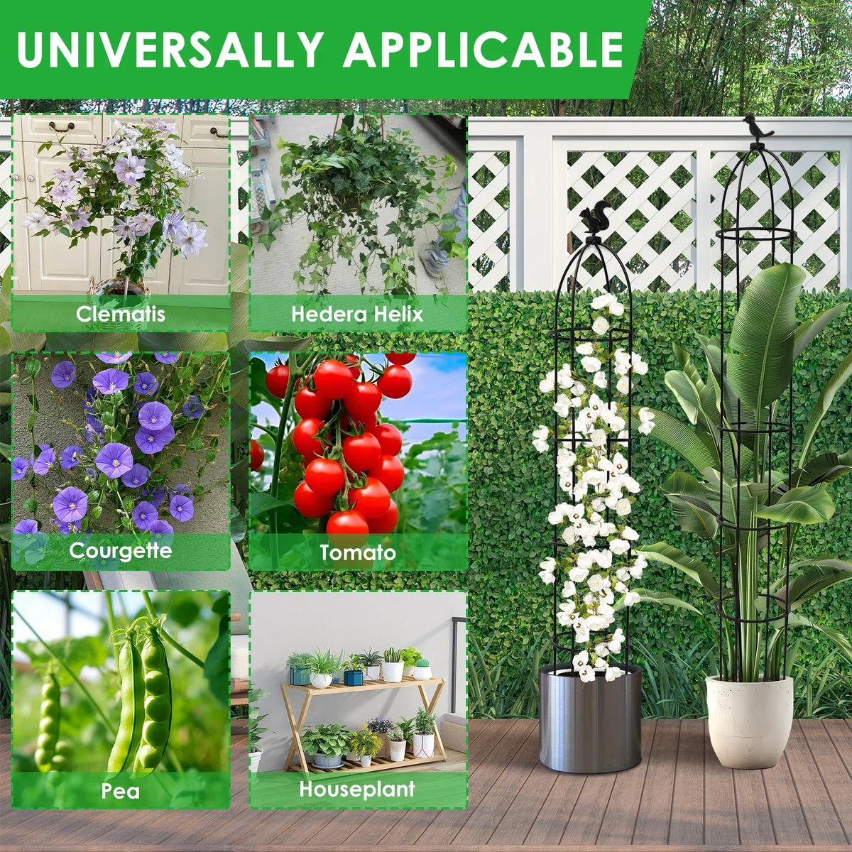 Garden Obelisk Trellis for Climbing Plants – 2 Set, 180cm