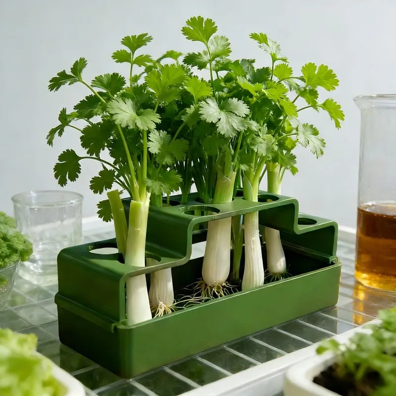 Scallion Hydroponic Growing Box – Soil-Free Reusable Planter