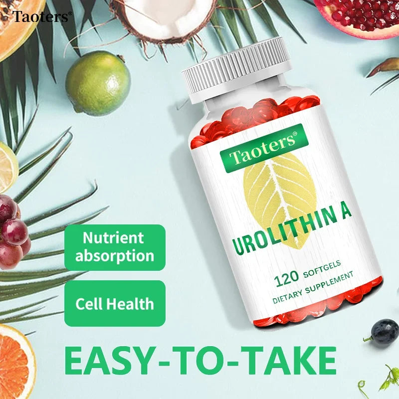 Urolithin A 2000mg Capsules 120ct – Cellular Vitality | Taoters