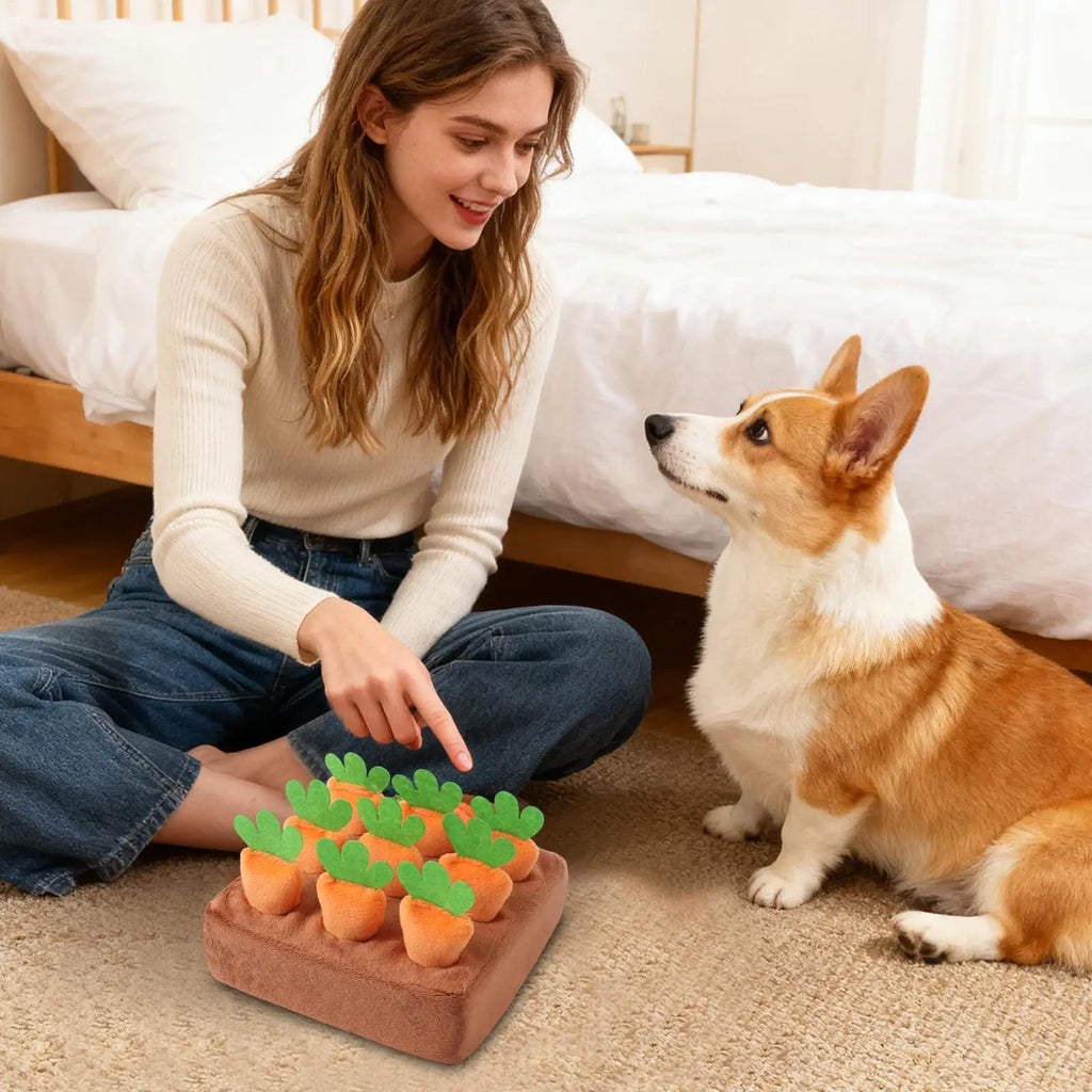 Dog Snuffle Mat Carrot Puzzle Feeding Toy – Dogs & Puppies