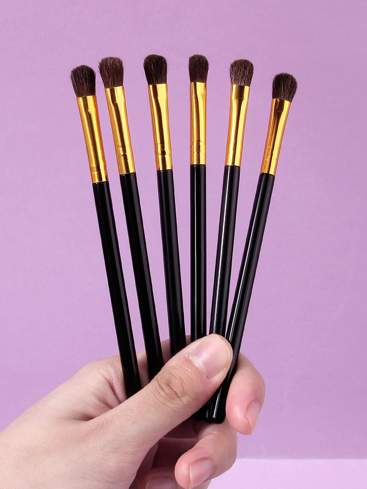 6-Piece Horsehair Eyeshadow Brush Set – Blending & Contouring