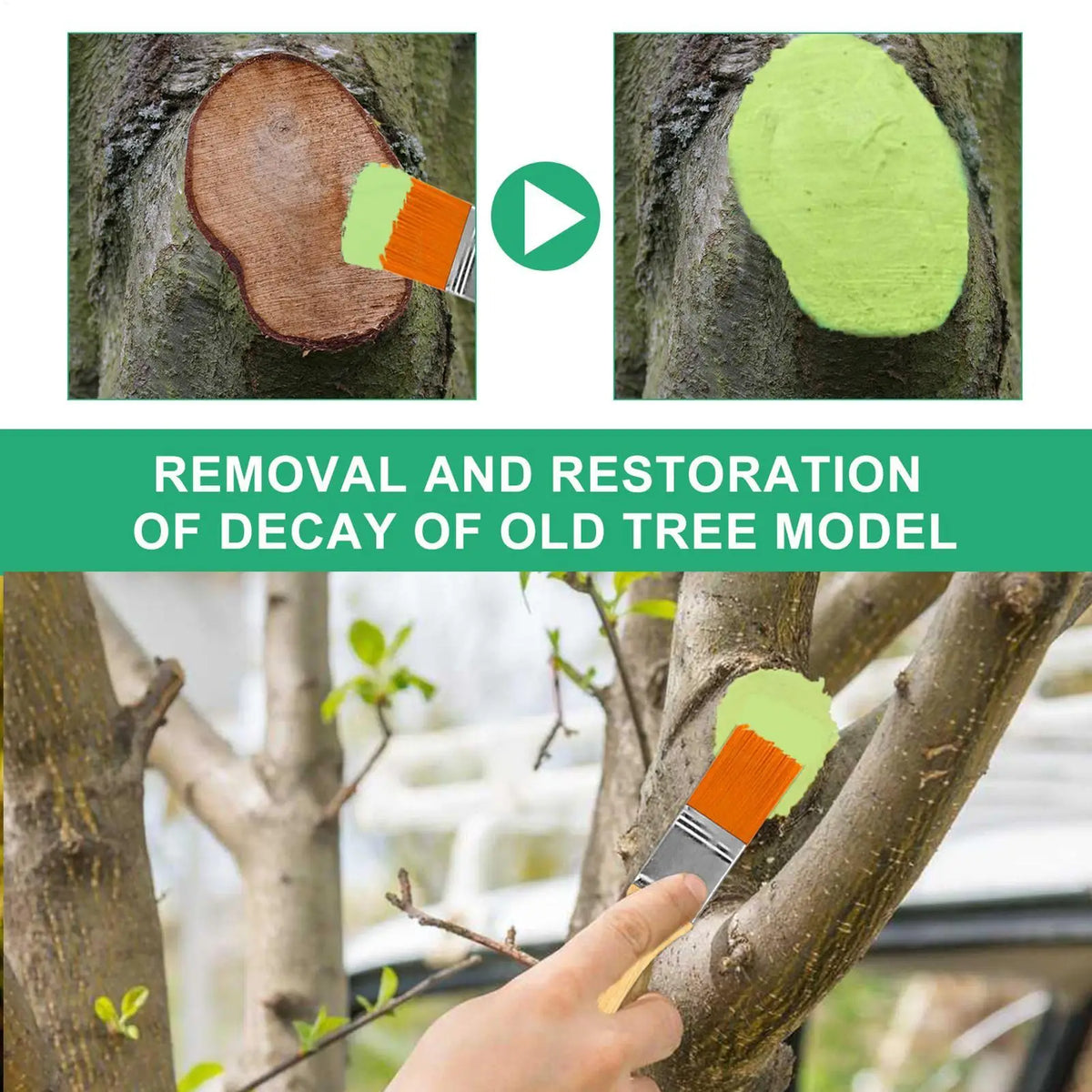 Tree Wound Sealer – Pruning & Grafting Paste for Bonsai & Trees