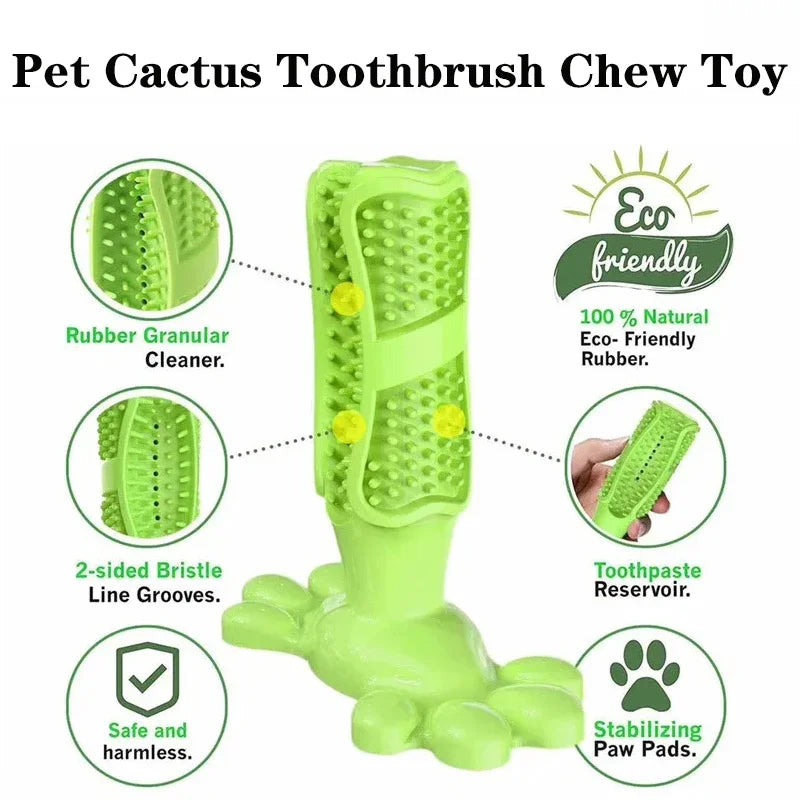Dog Cactus Chew Toy – Treat Dispenser & Teeth Cleaner