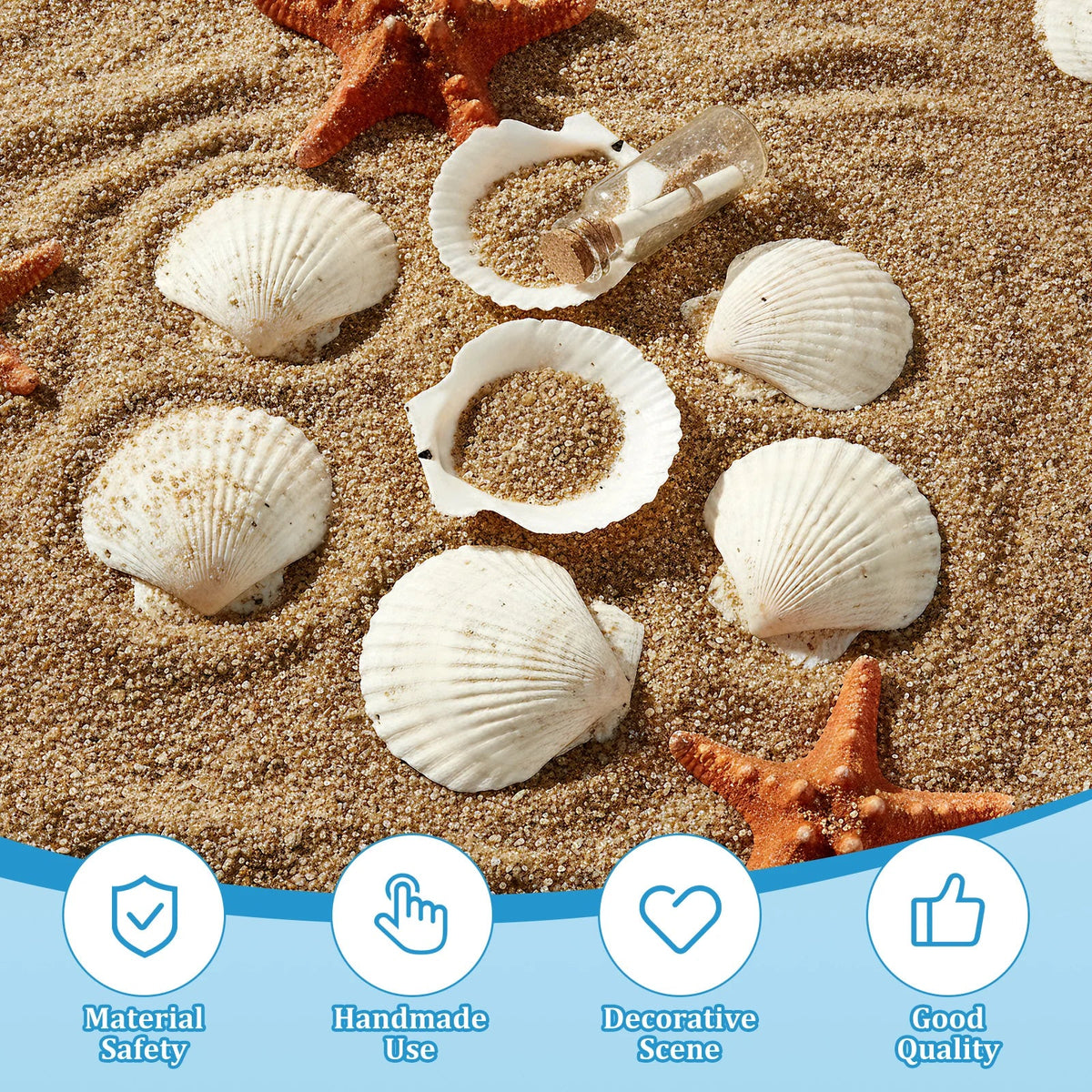 15Pcs Large Natural Scallop Shells – Crafts, Baking & Decor