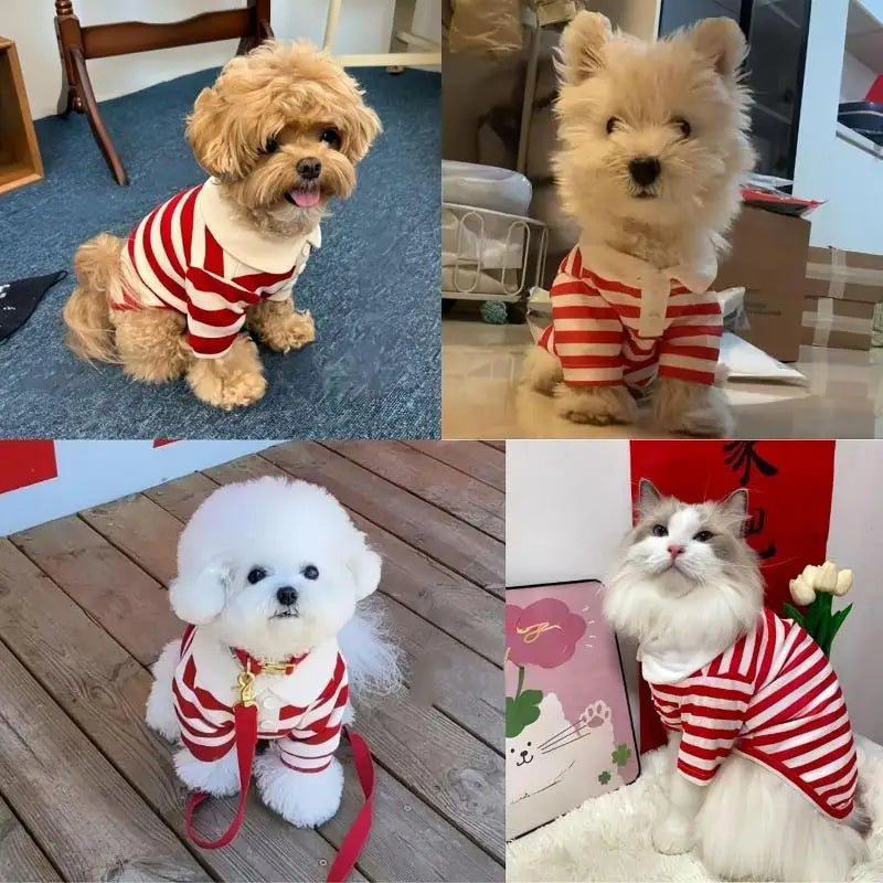 Striped Dog & Cat Shirt – Soft Polyester Pet Pullover S–2XL